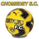 Dortmund FC