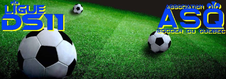 Banniere_DS11_et_asq