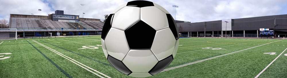 Ligue de developpement soccer11 et le Soccer11_Stade