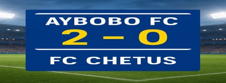 Aybobo FC 2 - 0 FC Chetus Ligue Soccer11 Coupe ASHM 2025