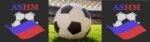 logo ligue soccer11 championnat ashm